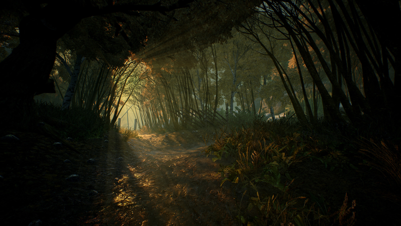 Illustration for article titled Looking Good, Hellblade